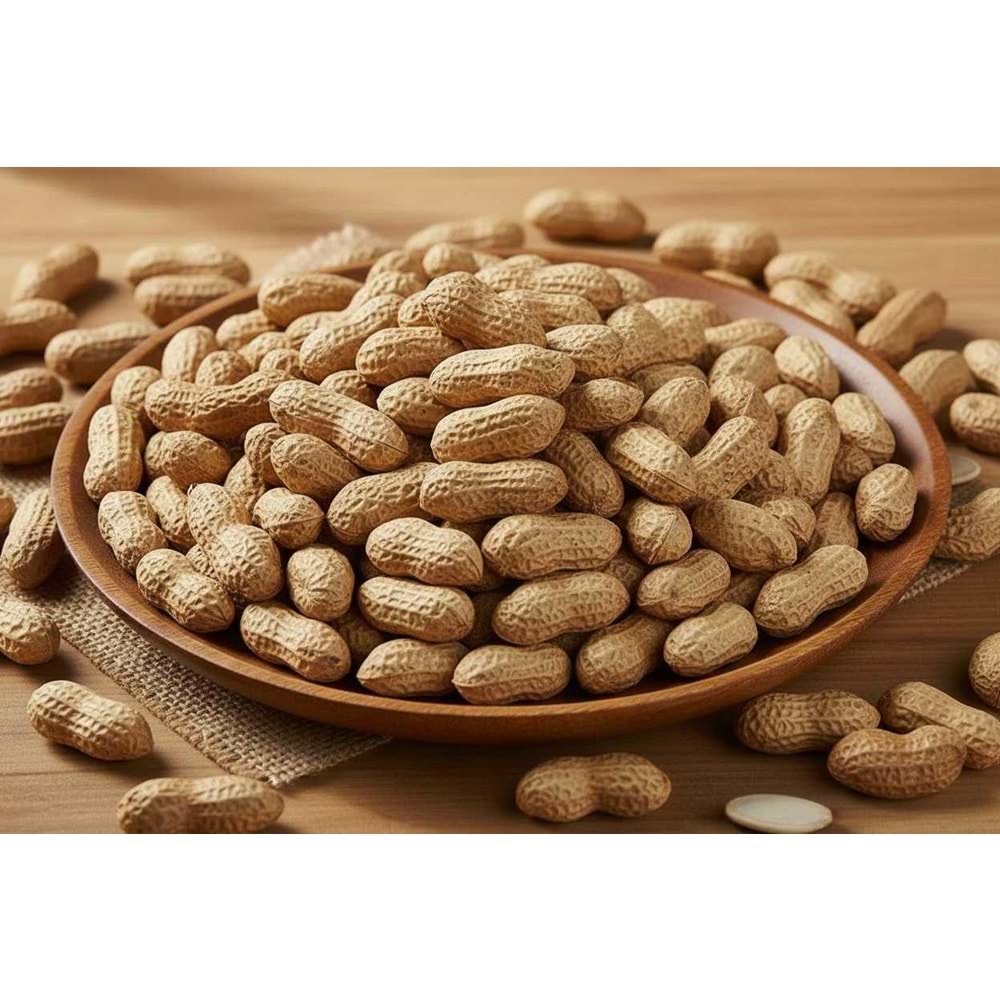KABUKLU FISTIK TUZLA - 500GR