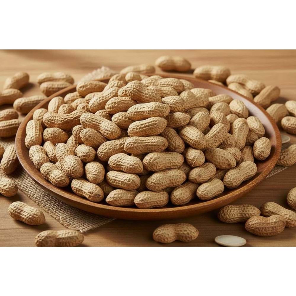 KABUKLU FISTIK TUZLA - 500GR